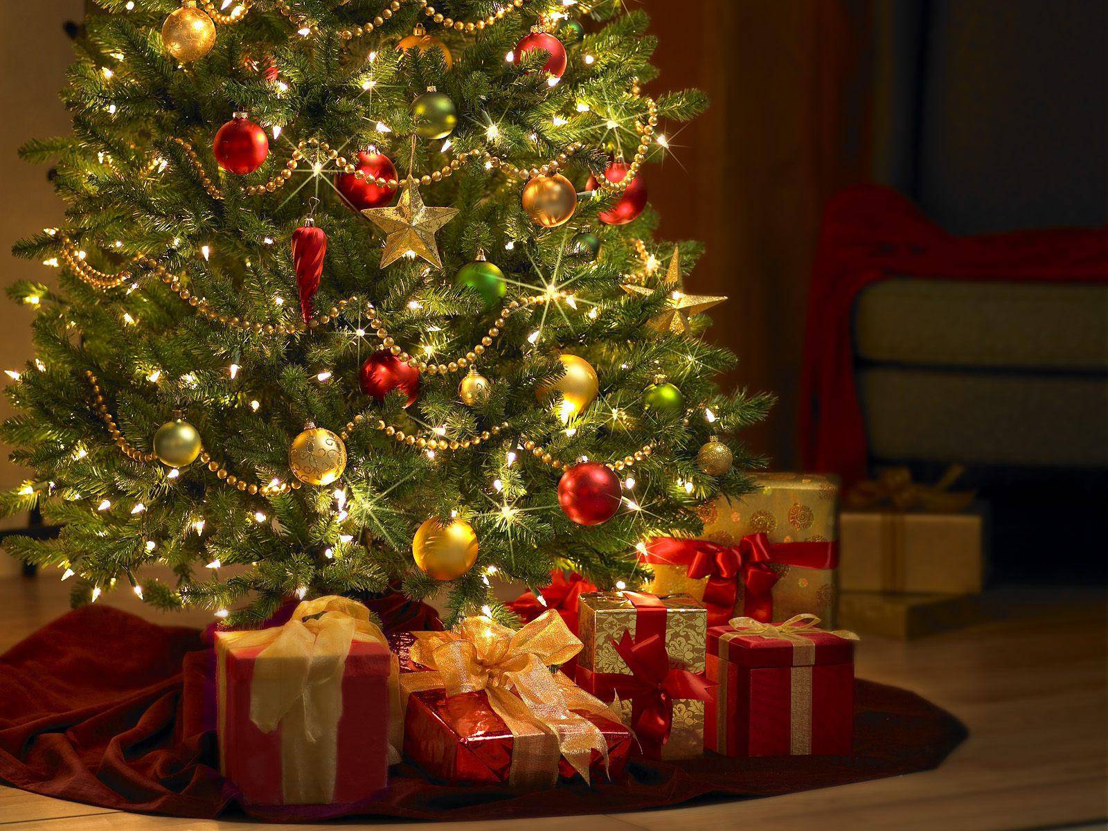 Feliz Natal!!!